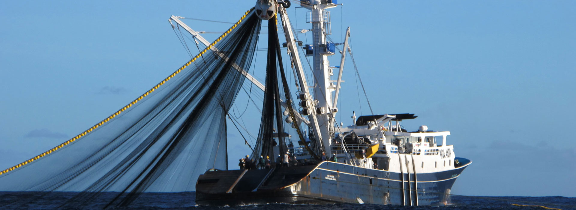 BAL-Pİ GIDA SANAYİ