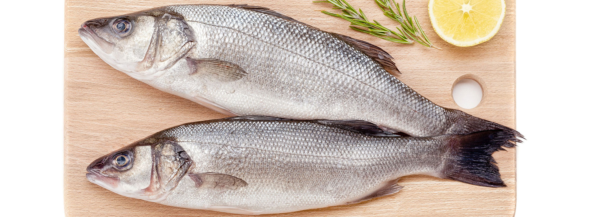 BAL-Pİ GIDA SANAYİ